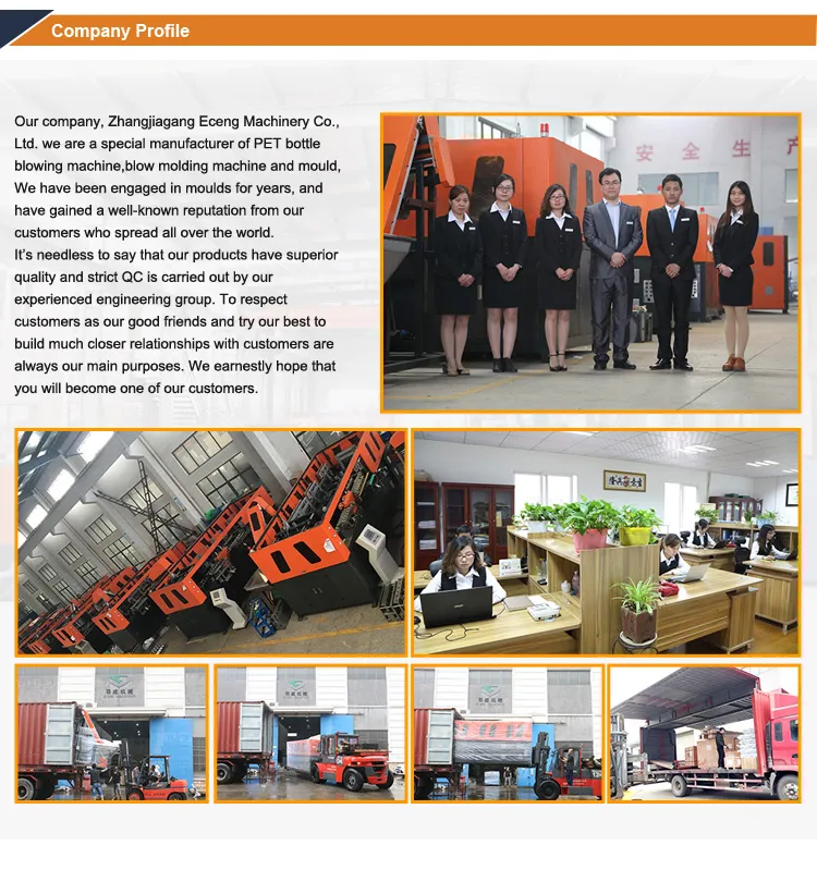 12000bph Small Water Oil Bottle Can High Speed Pet Bottle Blow Moulding Machine