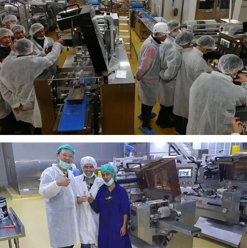 Biscuits/Cookies/Noodles/Vegetables/Fry Fruit/Burger/Muffin/Cake/Food/Horizontal Flowpack Packaging Machine